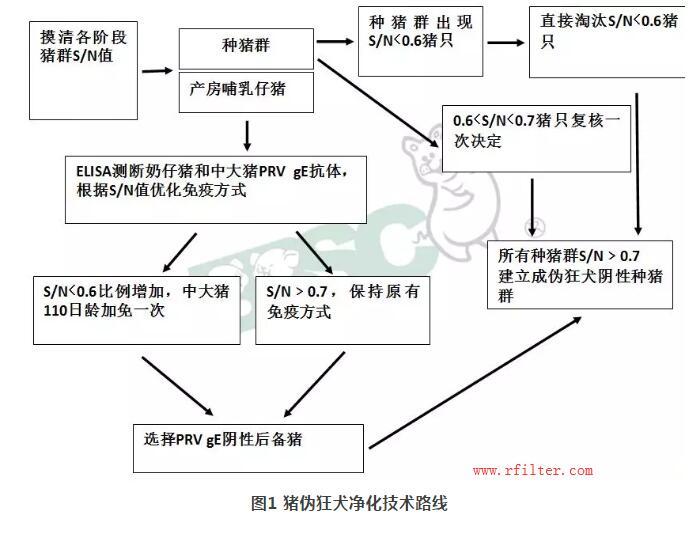 規(guī)模豬場(chǎng)如何凈化控制疫??？空氣過(guò)濾系統(tǒng)如何阻擋藍(lán)耳病毒株呢？
